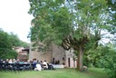 concert 11-juillet---11